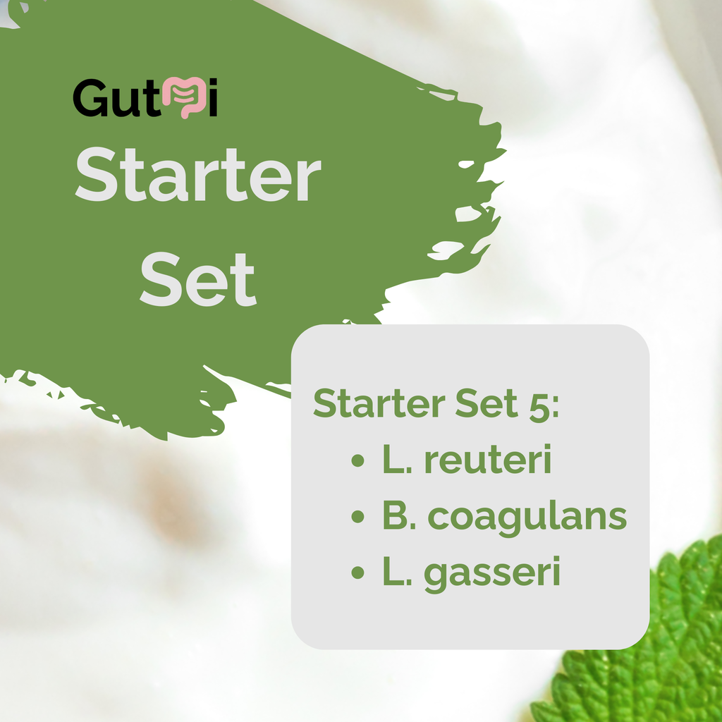 L. reuteri + B. coagulans + L. gasseri | Yogurt Starter Set | SIBO | Starter Cultures | Pack of 3